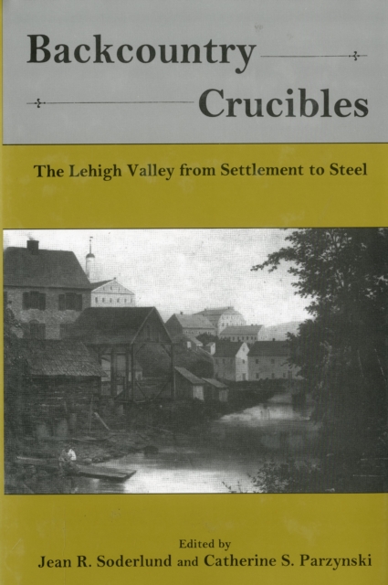 Backcountry Crucibles : The Lehigh Valley from Settlement to Steel, Hardback Book