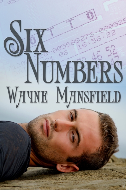 Six Numbers, EPUB eBook