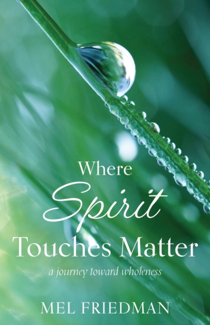 Where Spirit Touches Matter : a journey toward wholeness, Paperback / softback Book