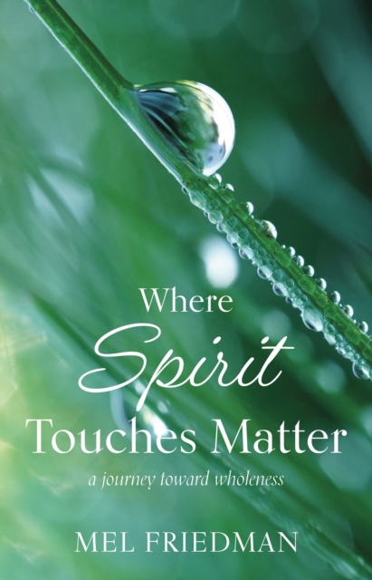 Where Spirit Touches Matter : a journey toward wholeness, EPUB eBook