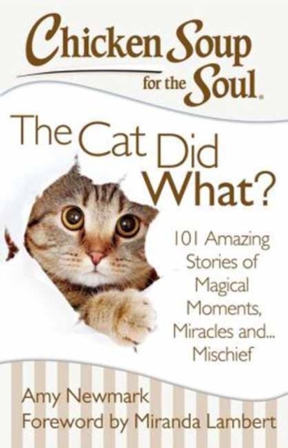 Chicken Soup for the Soul: The Cat Did What? : 101 Amazing Stories of Magical Moments, Miracles and... Mischief, Paperback / softback Book