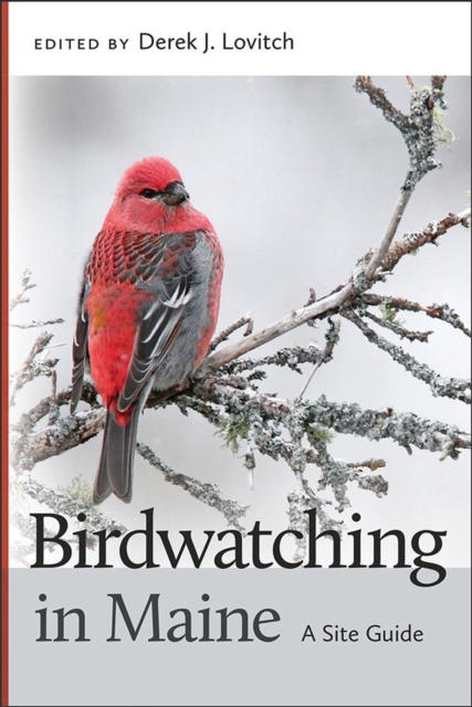 Birdwatching in Maine : A Site Guide, Paperback / softback Book