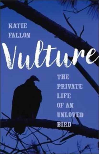 Vulture : The Private Life of an Unloved Bird, Hardback Book