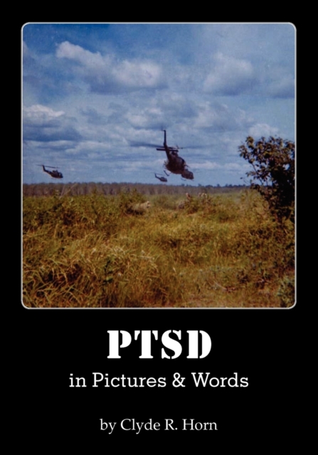 PTSD in Pictures & Words, Paperback / softback Book