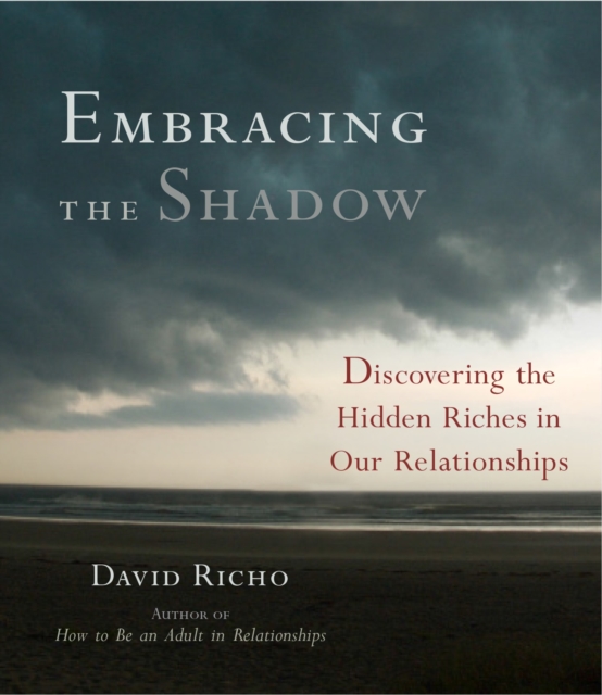 Embracing the Shadow : Discovering the Hidden Riches in Our Relationships, CD-Audio Book
