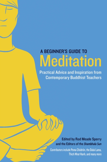 A Beginner's Guide to Meditation : Practical Advice and Inspiration from Contemporary Buddhist Teachers, Paperback / softback Book