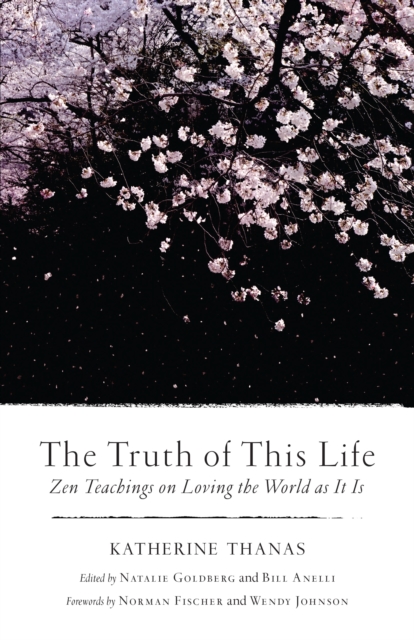 The Truth of This Life : Zen Teachings on Loving the World as It Is, Paperback / softback Book