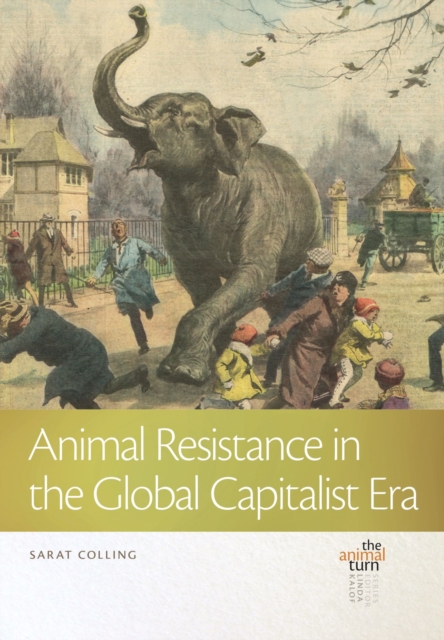 Animal Resistance in the Global Capitalist Era, Hardback Book