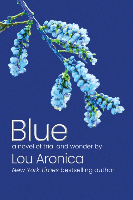 Blue : A Novel of Trial and Wonder, Hardback Book