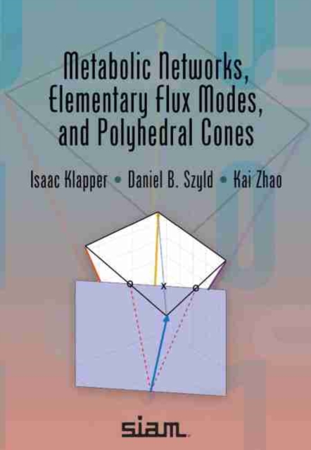 Metabolic Networks, Elementary Flux Modes, and Polyhedral Cones, Paperback / softback Book