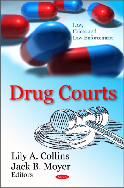 Drug Courts, Hardback Book