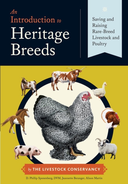 An Introduction to Heritage Breeds : Saving and Raising Rare-Breed Livestock and Poultry, Paperback / softback Book