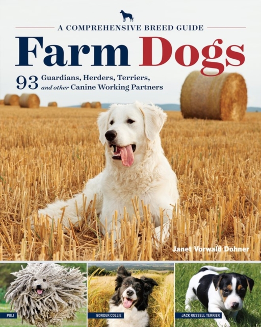 Farm Dogs : A Comprehensive Breed Guide to 93 Guardians, Herders, Terriers, and Other Canine Working Partners, Paperback / softback Book