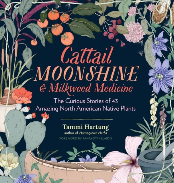 Cattail Moonshine & Milkweed Medicine : The Curious Stories of 43 Amazing North American Native Plants, Hardback Book