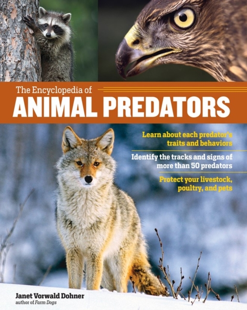 The Encyclopedia of Animal Predators : Learn about Each Predator’s Traits and Behaviors; Identify the Tracks and Signs of More Than 50 Predators; Protect Your Livestock, Poultry, and Pets, Paperback / softback Book