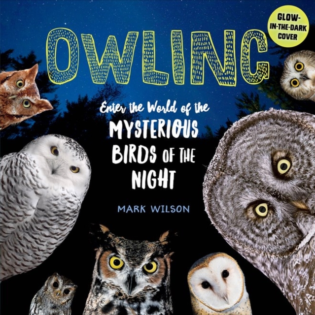 Owling : Enter the World of the Mysterious Birds of the Night, Hardback Book