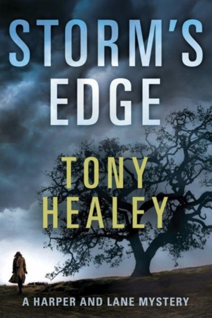 Storm's Edge, Paperback / softback Book