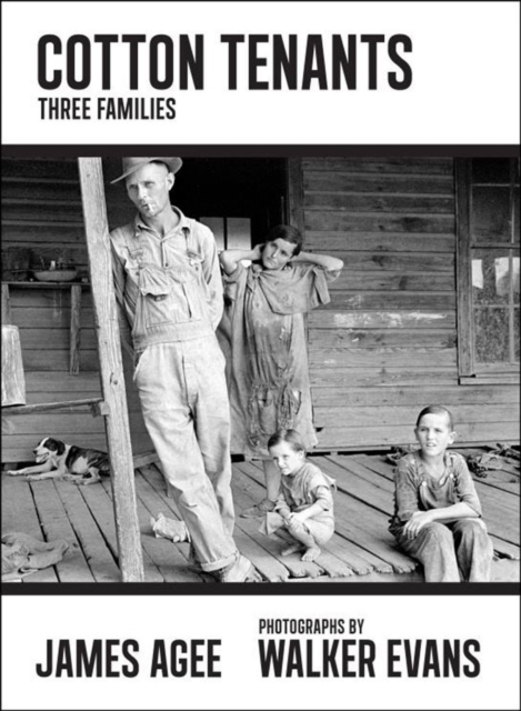Cotton Tenants : Three Families, Paperback Book