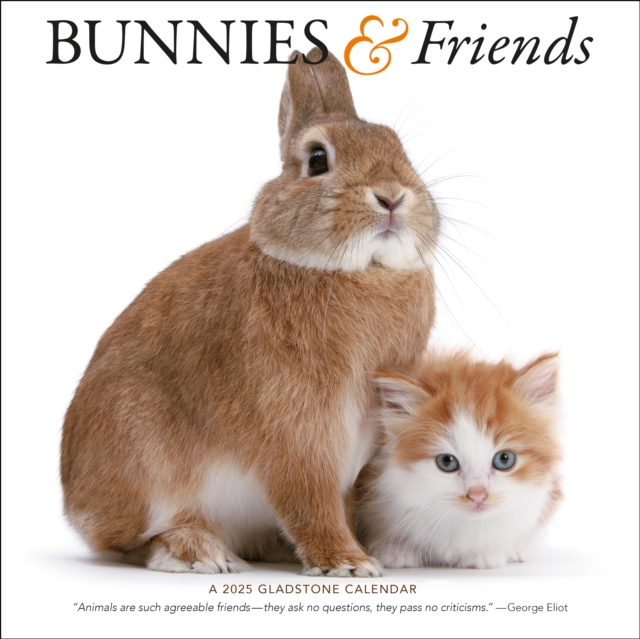 Bunnies & Friends Square Wall Calendar 2025, Paperback Book