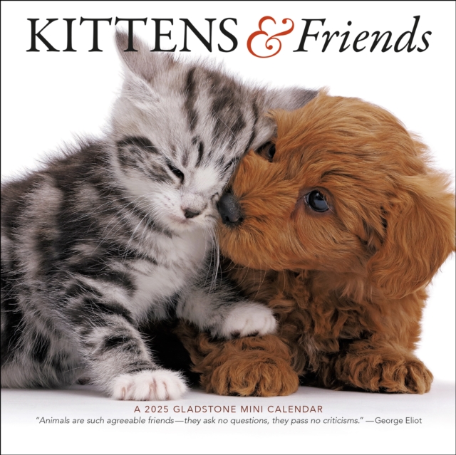 Kittens & Friends Square Mini Calendar 2025, Paperback Book