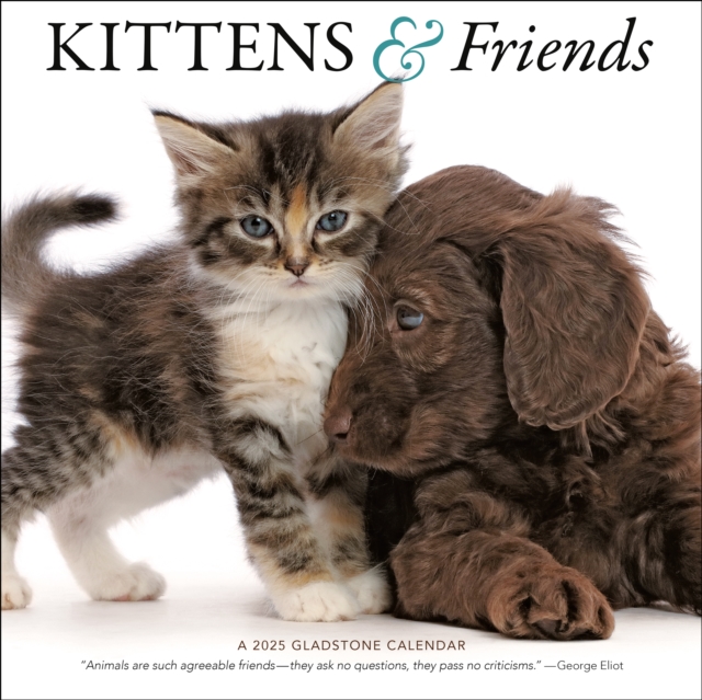 Kittens & Friends Square Wall Calendar 2025, Paperback Book