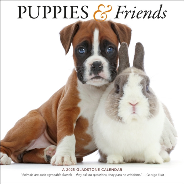 Puppies & Friends Square Wall Calendar 2025, Paperback Book