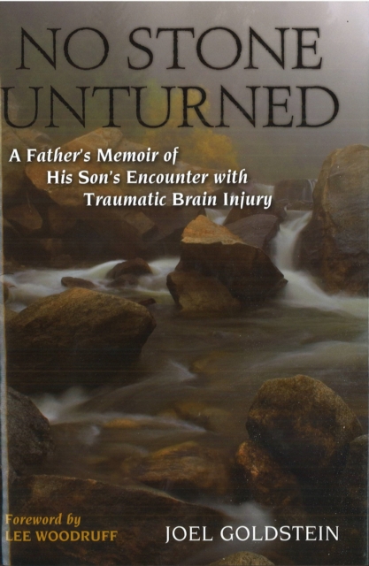 No Stone Unturned : A Father's Memoir of His Son's Encounter with Traumatic Brain Injury, Hardback Book