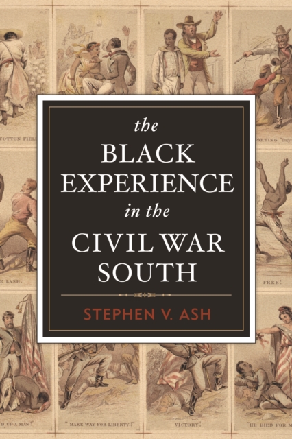 The Black Experience in the Civil War South, Paperback / softback Book