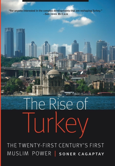 The Rise of Turkey : The Twenty-First Century's First Muslim Power, Hardback Book