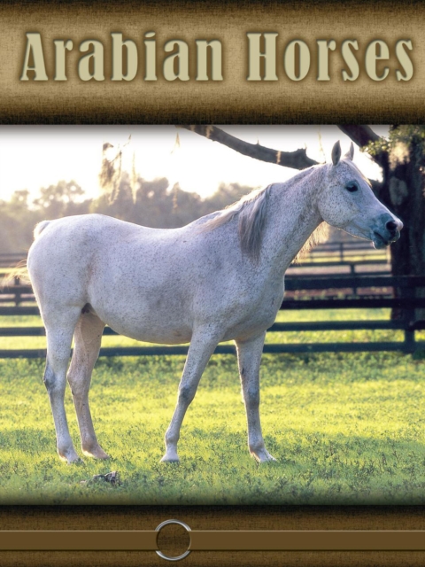 Arabian Horses, PDF eBook