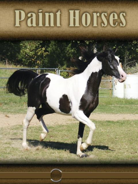Paint Horses, PDF eBook