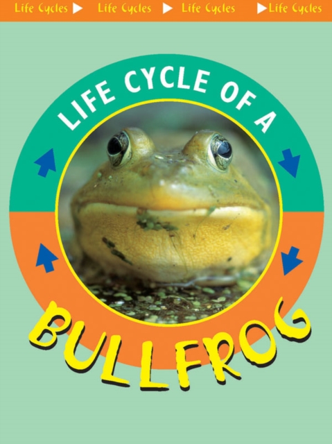 Life Cycle of A Bullfrog, PDF eBook