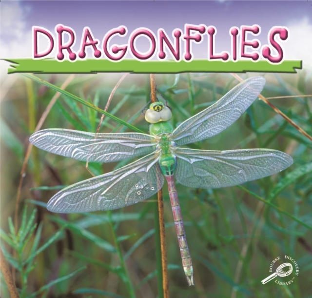 Dragonflies, PDF eBook
