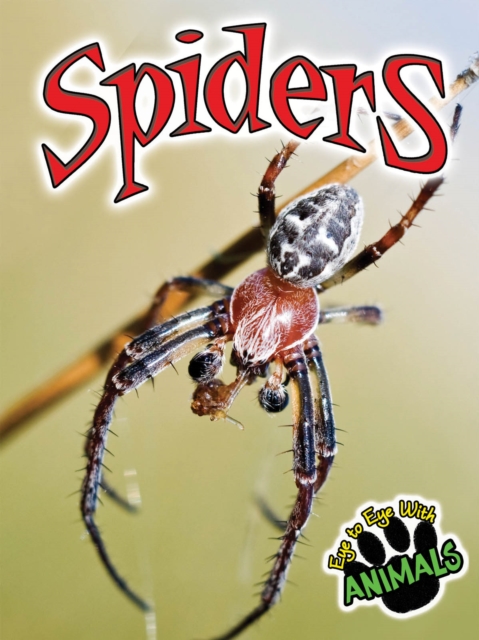 Spiders, PDF eBook