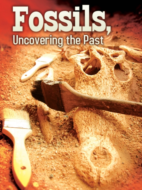 Fossils : Uncovering The Past, PDF eBook