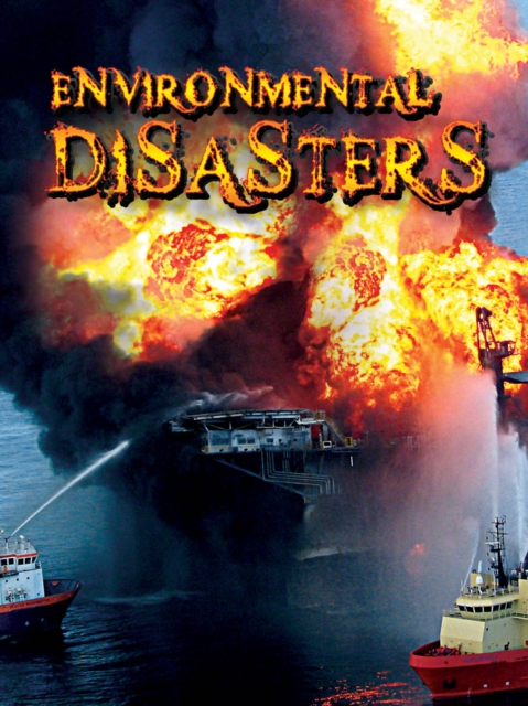 Environmental Disasters, PDF eBook