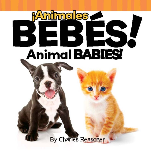 !Animales bebes! : Animal Babies!, PDF eBook