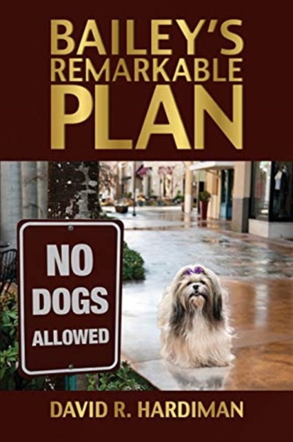 Bailey's Remarkable Plan, Paperback / softback Book