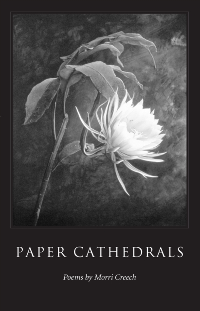 Paper Cathedrals, EPUB eBook