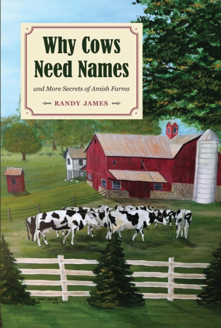 Why Cows Need Names, PDF eBook
