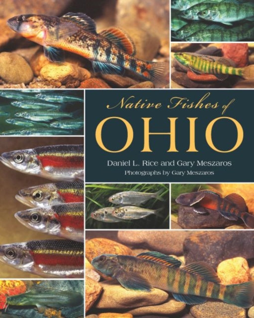 Native Fishes of Ohio, PDF eBook