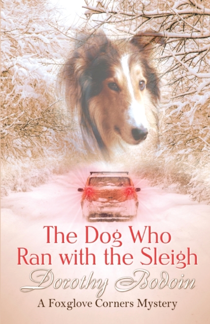 The Dog Who Ran with the Sleigh, Paperback / softback Book