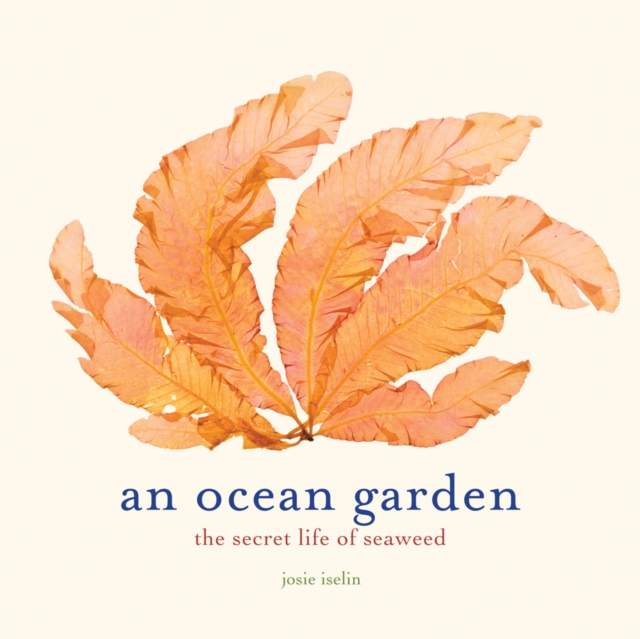 An Ocean Garden : The Secret Life of Seaweed, EPUB eBook