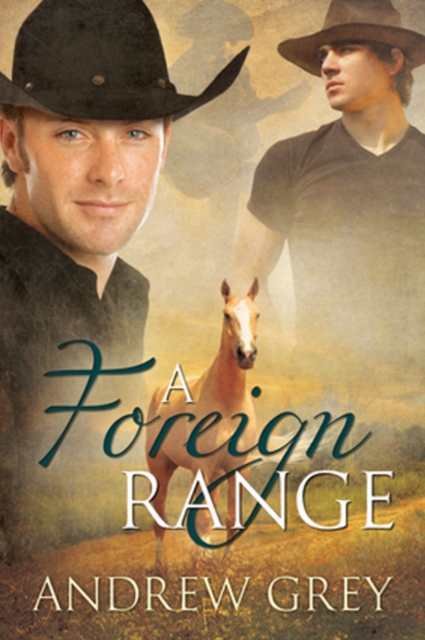 A Foreign Range Volume 4, Paperback / softback Book