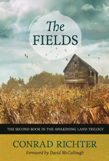 The Fields Volume 30, Paperback / softback Book