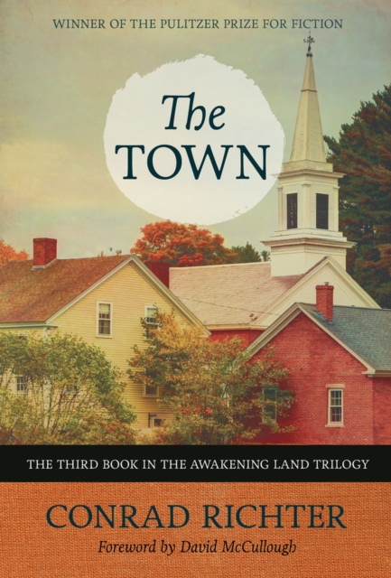 The Town Volume 31, Paperback / softback Book