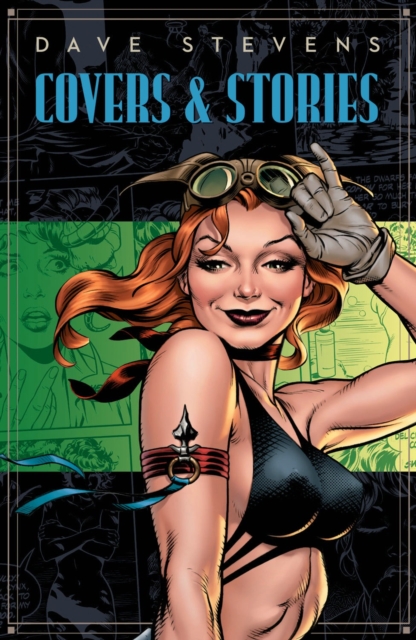 Dave Stevens' Stories & Covers, Hardback Book