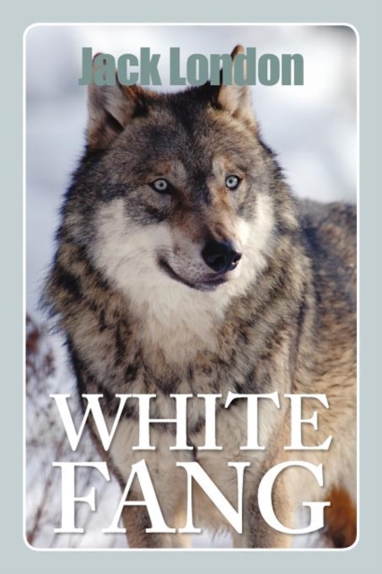 White Fang, Paperback / softback Book