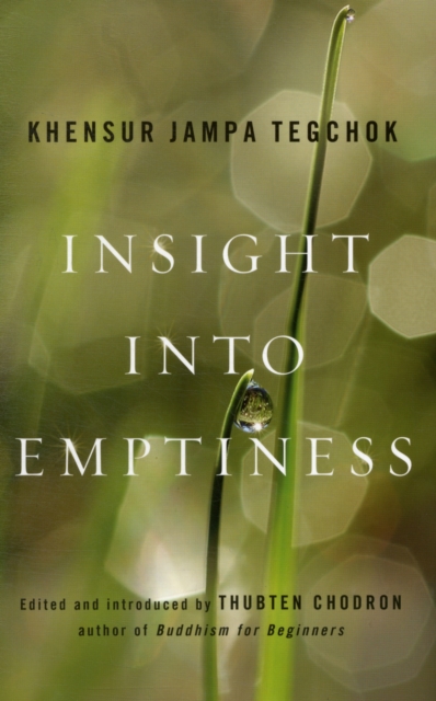 Insight into Emptiness, EPUB eBook