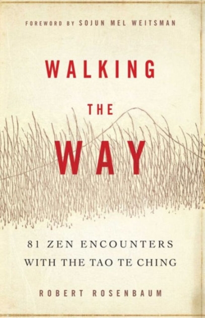 Walking the Way : 81 ZEN Encounters with the Tao Te Ching, Paperback Book
